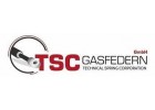 Газовые пружины TSC